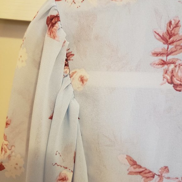 Beautiful Sheer Blue Red Rose Blouse - Picture 5 of 5